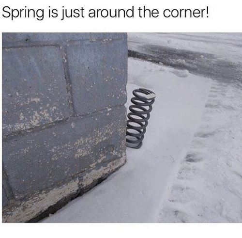 spring-is-just-around-the-corner-43480371